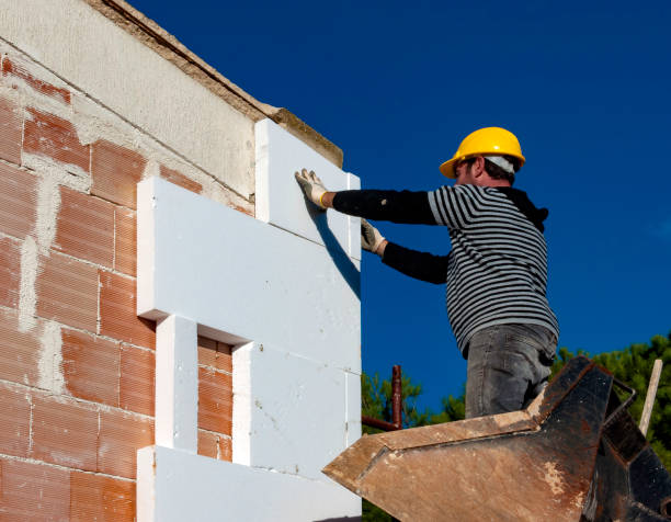Best Insulation Repair Services  in Vassar, MI