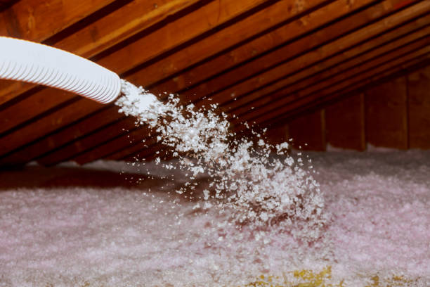 Best Attic Insulation Installation  in Vassar, MI