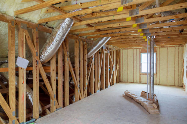 Best Spray Foam Insulation  in Vassar, MI