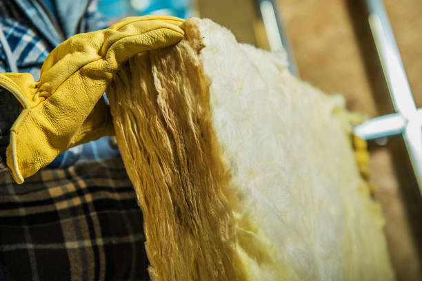 Best Insulation Inspection Services  in Vassar, MI