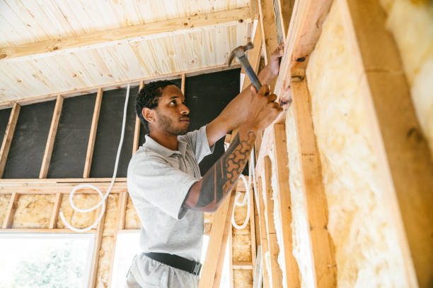 Best Energy-efficient Insulation  in Vassar, MI
