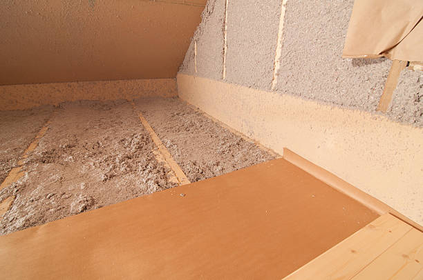 Best Spray Foam Insulation  in Vassar, MI