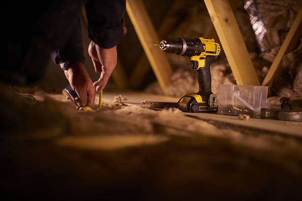 Best Best Insulation Companies  in Vassar, MI